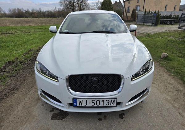 Jaguar XF cena 46500 przebieg: 206250, rok produkcji 2012 z Kutno małe 121